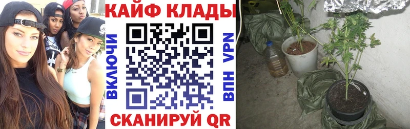 Где купить наркотики Кубинка Cocaine  Меф  Конопля 