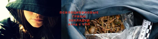 ПСИЛОЦИБИНОВЫЕ ГРИБЫ Балабаново