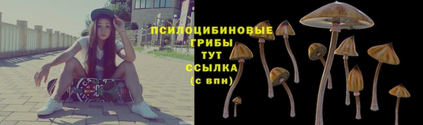 ГАЛЛЮЦИНОГЕННЫЕ ГРИБЫ Балахна