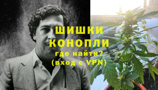 ПСИЛОЦИБИНОВЫЕ ГРИБЫ Балабаново