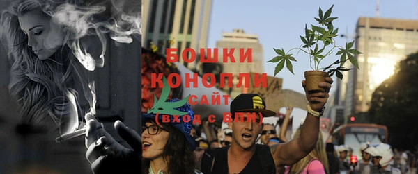 ГАЛЛЮЦИНОГЕННЫЕ ГРИБЫ Балахна